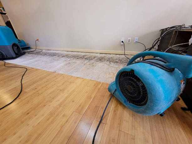 Professional Structural Drying technician working in Stratford, WI